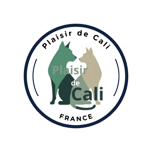 Plaisir de Cali